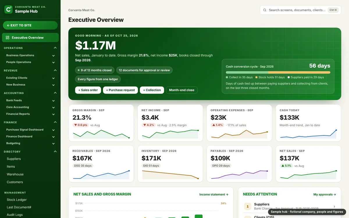 Executive overview with sales, margin, cash, working capital days and approvals
